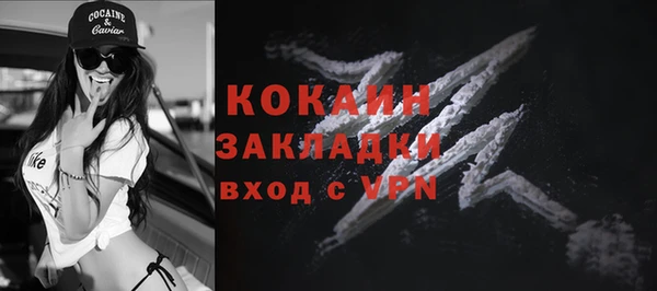 прущие грибы Заволжье