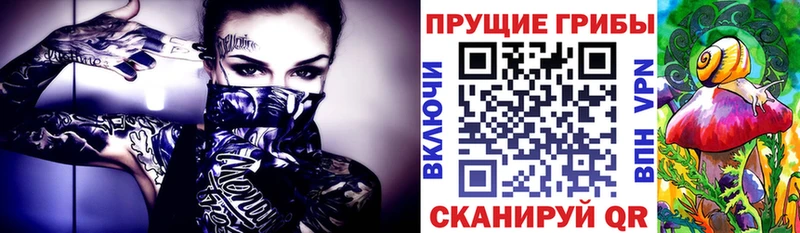 Псилоцибиновые грибы MAGIC MUSHROOMS  Купить где  Рузаевка 